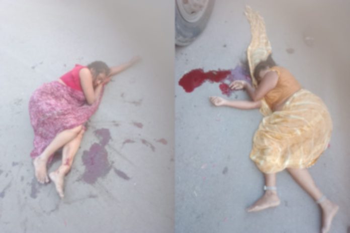 रायपुर में दिल दहला देने वाली हिट एंड रन घटना: प्रिया साहू की मौत, रिश्तेदार गंभीर रूप से घायल