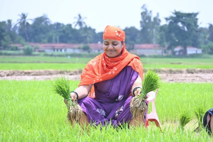 कुर्सी पर रोपाई और दफ्तर में 'धक्का'- मंत्री लक्ष्मी रजवाड़े की अनोखी कार्यशैली फिर चर्चा में